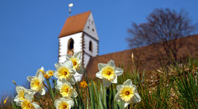 stadtmobil Infostand auf dem Plochinger Frühling