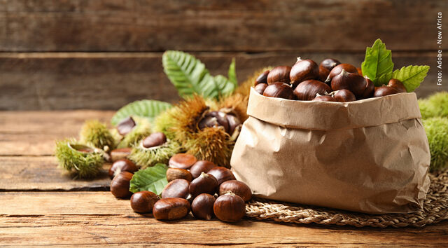 Kastanienbeutelfest in Ludwigsburg 2025