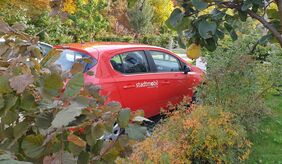 Mehr Grün - CarSharing schont die Umwelt Mehr Grün - CarSharing schont die Umwelt